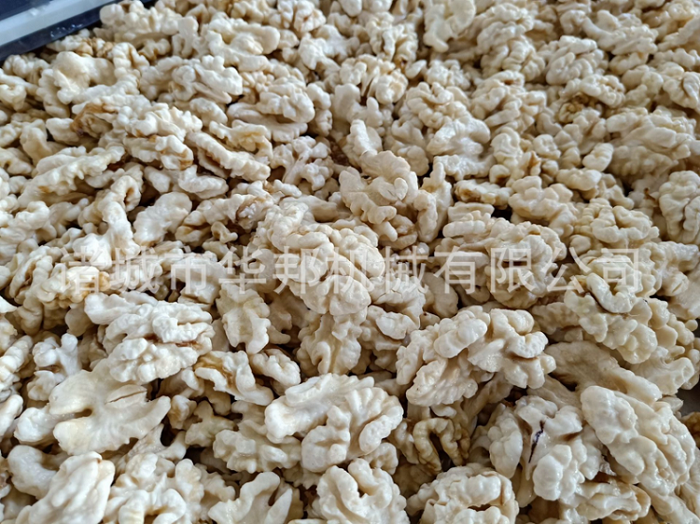 山東核桃仁去皮機(jī)