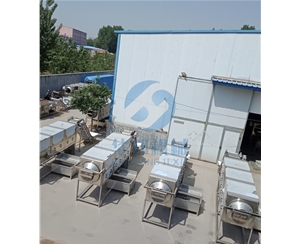 全自動核桃仁脫衣機 華邦機械