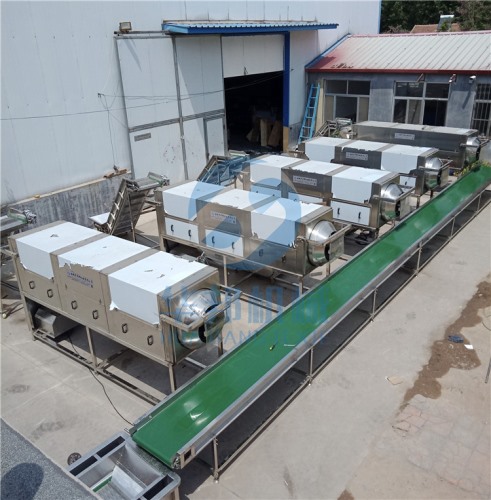 省時(shí)核桃仁去皮機(jī) 華邦機(jī)械