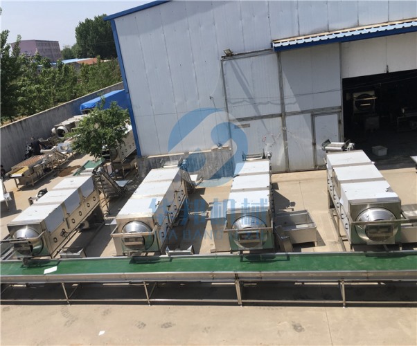 無(wú)人工看守械核桃仁去皮機(jī) 華邦機(jī)械