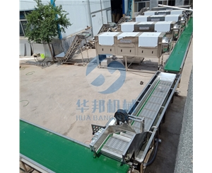 核桃仁去皮機特點 華邦機械