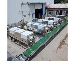 全自動大型核桃仁去皮流水線 華邦機械