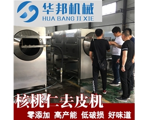 上門安裝 核桃仁去皮機