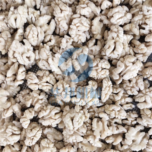 全自動 核桃仁去皮機(jī)