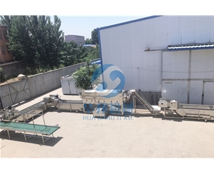 華邦機械提供工藝 核桃仁脫衣機99%