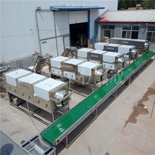 核桃仁脫皮機 視頻