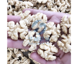 核桃仁去皮機(jī)  免費試機(jī)