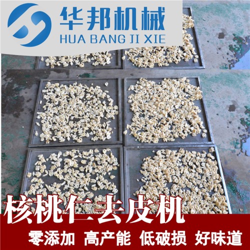 核桃仁脫皮機 自來水去皮 核桃仁去皮機供應商