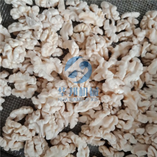 根據(jù)廠房定制 核桃仁去皮機(jī)