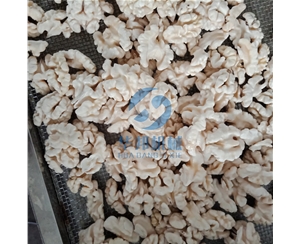 新一代 核桃仁脫衣機(jī) 2019報價