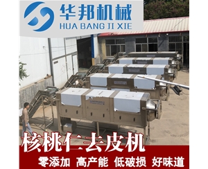 LN核桃仁去皮機(jī) 新疆核桃仁去皮機(jī)價格