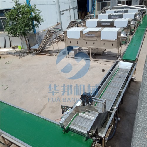 現(xiàn)場(chǎng)直觀 去皮核桃仁 核桃仁去皮機(jī)