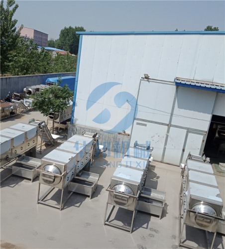 現(xiàn)場(chǎng)操作試機(jī) 核桃仁去皮機(jī)