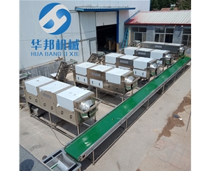 生產(chǎn)核桃仁去皮機(jī) 連續(xù)式運(yùn)作