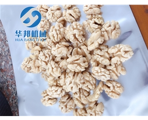 中型核桃仁脫衣機(jī)結(jié)構(gòu)