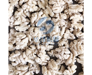 【省300人核桃仁去皮機(jī)