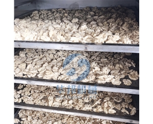 【省人工】核桃仁去皮機(jī)