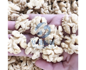 小型 核桃仁去皮機(jī)