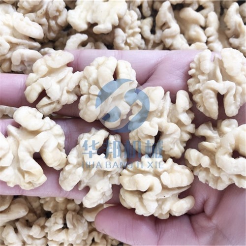 現貨 核桃仁去皮機