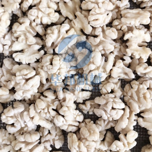 全自動 核桃仁去皮機(jī)