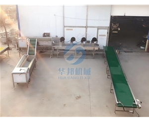 紅薯清洗機(jī) 紅薯清洗機(jī)價(jià)格