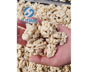 核桃仁去皮機(jī) 核桃仁去皮流水線