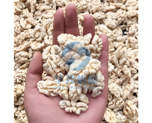 免費(fèi)試機(jī) 核桃仁去皮機(jī) 專利核桃仁脫衣機(jī)