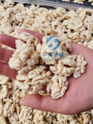 純物理 核桃仁去皮機(jī) 核桃仁剝皮機(jī)