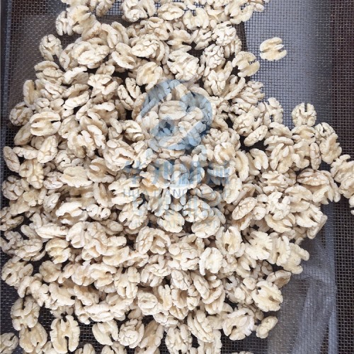 多型號 核桃仁去皮機(jī)