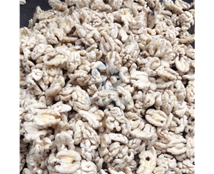 省295人工 核桃仁去皮機(jī)