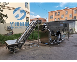 自動上料 核桃仁去皮機 產量大省人工