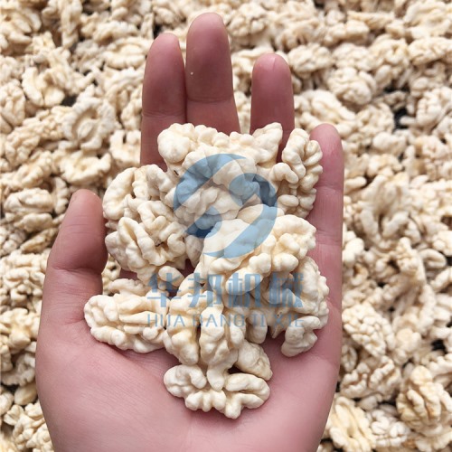 省人工 核桃仁去皮機(jī)