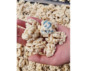 核桃仁去皮機 風(fēng)味核桃仁去皮機