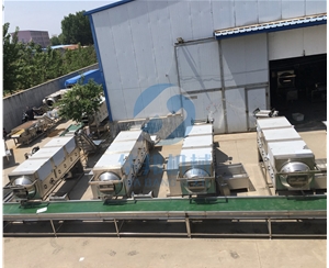 【華邦機(jī)械】核桃仁去皮機(jī) 核桃仁脫衣機(jī) 專(zhuān)利產(chǎn)品