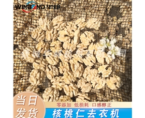 去皮核桃仁設(shè)備 每日堅(jiān)果核桃仁去皮機(jī)