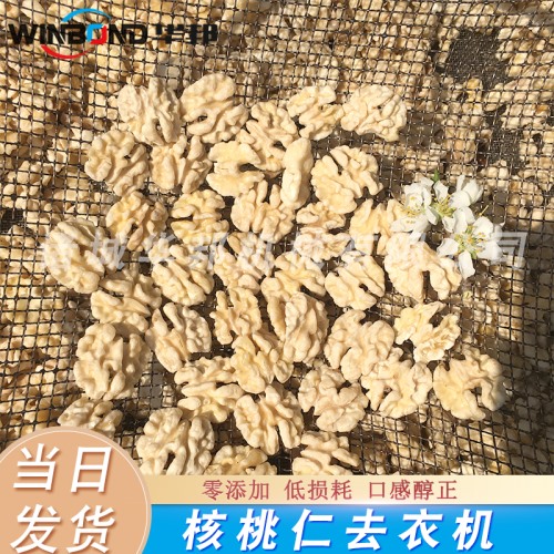 去皮核桃仁設(shè)備 每日堅果核桃仁去皮機