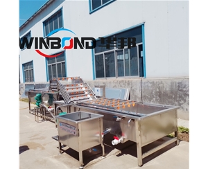 果蔬清洗機 氣泡清洗機 凈菜加工設備