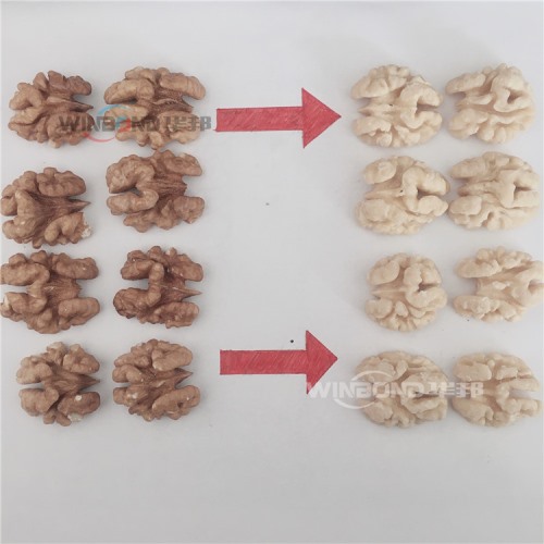 核桃仁去皮機(jī)