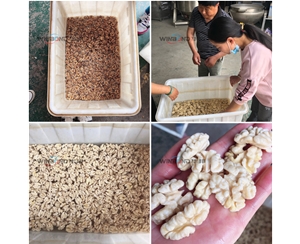 華邦核桃仁去皮 純物理核桃仁去皮清洗機(jī) 無污染