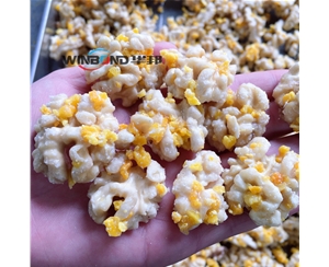 芒果核桃仁加工設備 華邦核桃仁去皮機 多口味