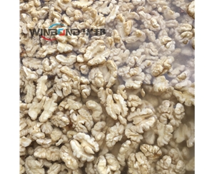 華邦核桃仁去衣機械 現(xiàn)場布局核桃仁去皮機 質保