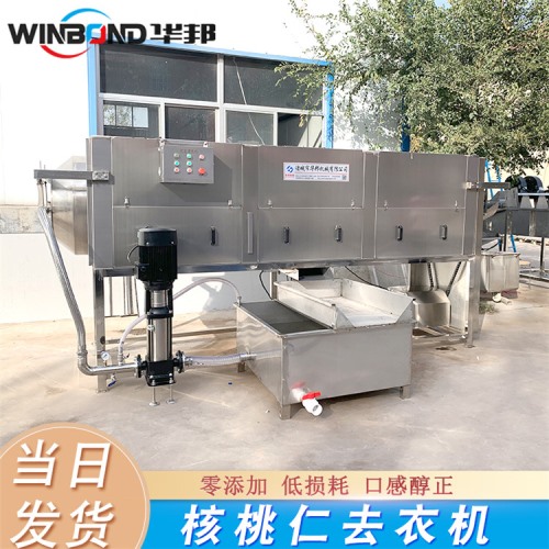 核桃仁去衣清洗機(jī) 華邦深加工去衣機(jī) 良心商家