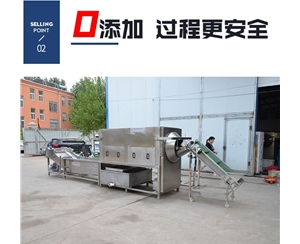 發(fā)貨上門 304核桃仁去皮機 純物理去皮機