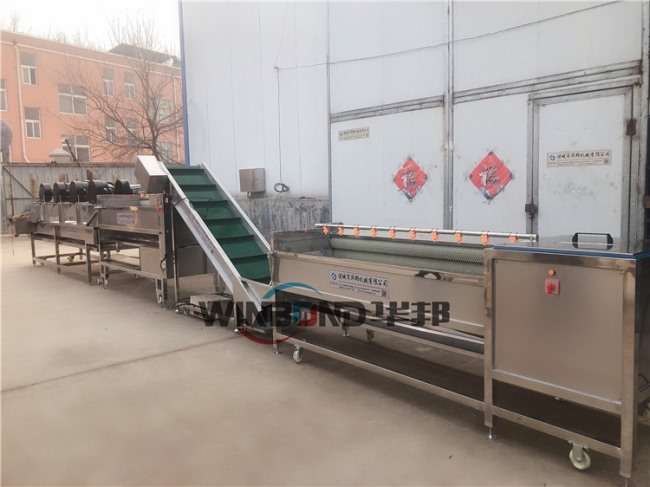 現(xiàn)場試機 紅薯清洗機 紅薯清洗風(fēng)干流水線