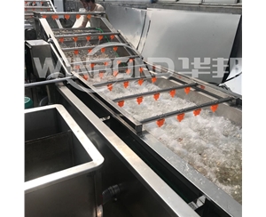 菌菇去雜清洗機(jī) 循環(huán)過(guò)濾 金針菇清洗設(shè)備