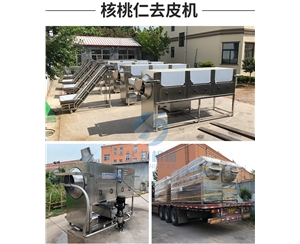 常規(guī)款核桃仁脫皮機 三種規(guī)格可選 物理核桃仁去皮機