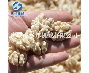 溫179核桃仁去皮機 華邦定制型核桃仁去皮機器