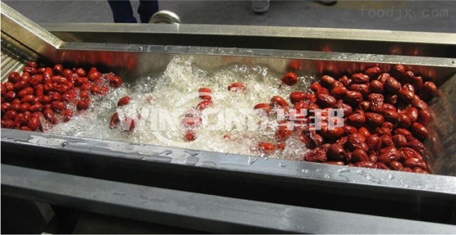 和田大棗清洗機 華邦機械 供應紅棗清洗設備