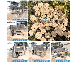 現貨直發(fā)核桃仁去衣機 全自動 去衣機設備